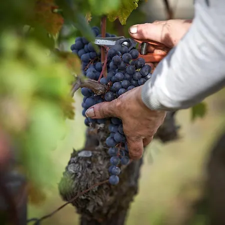 Alojamento de Acomodação e Pequeno-almoço Château De Môle