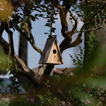 住宿加早餐酒店 Heloise 3*