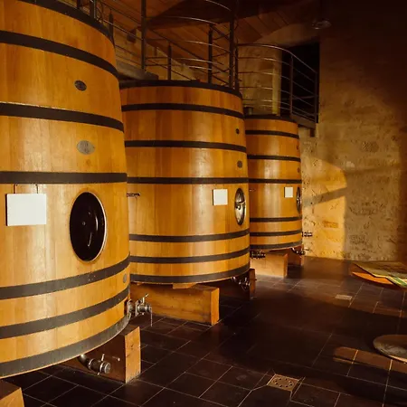 Alojamento de Acomodação e Pequeno-almoço Château De Môle 3*