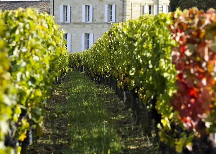 Frühstückspension Heloise 3*