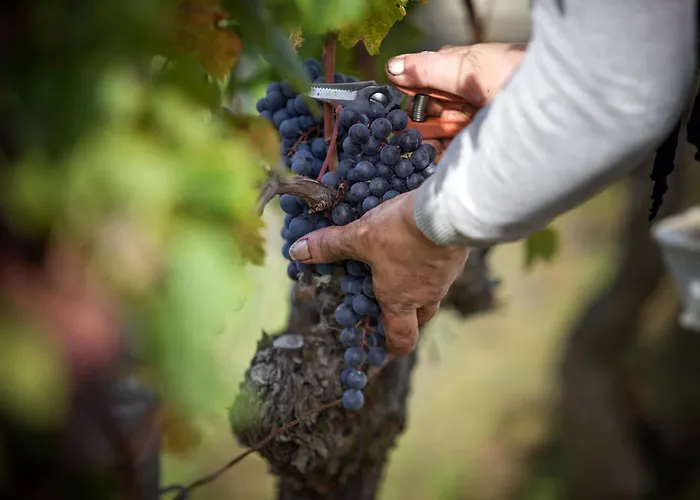 Frühstückspension Heloise