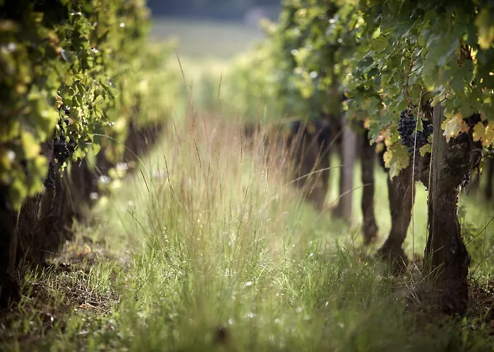 Heloise Frühstückspension Puisseguin
