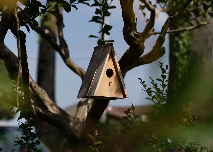 Frühstückspension Heloise 3*